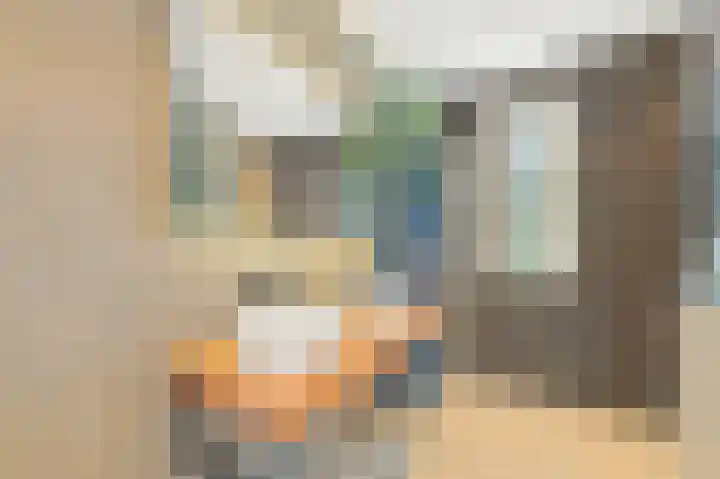 Vossenzoom 246 Pijnacker thumbnail 20