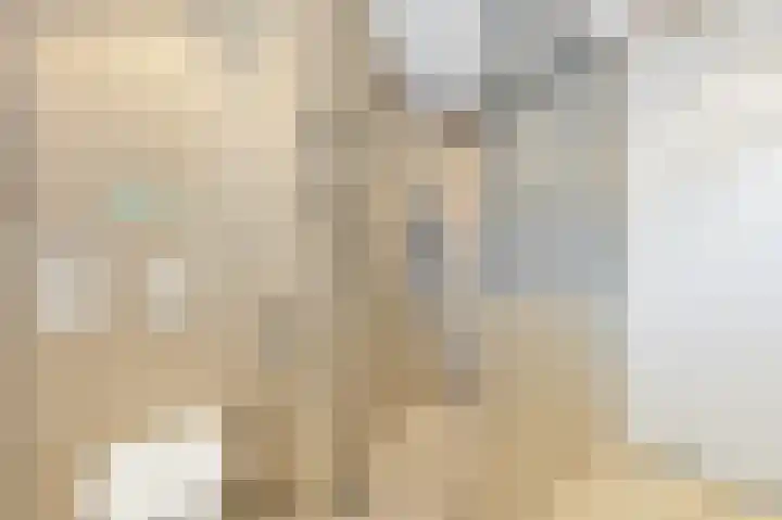 Vossenzoom 246 Pijnacker thumbnail 21