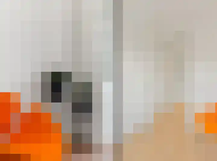 Vossenzoom 246 Pijnacker thumbnail 26