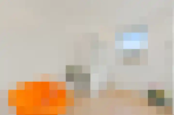 Vossenzoom 246 Pijnacker thumbnail 27