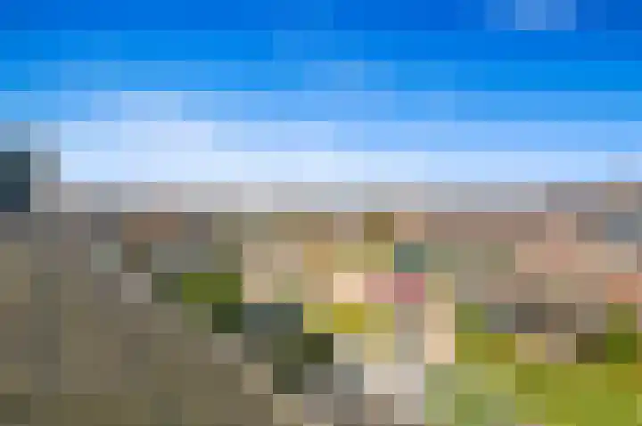 Vossenzoom 246 Pijnacker thumbnail 28