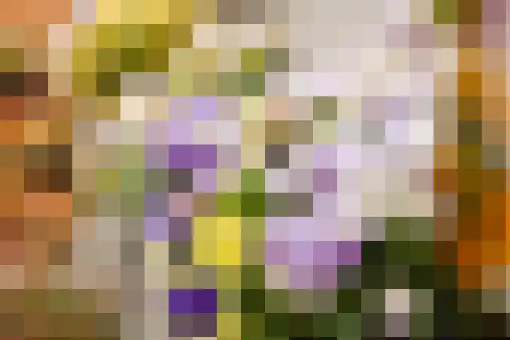 Vossenzoom 246 Pijnacker thumbnail 29