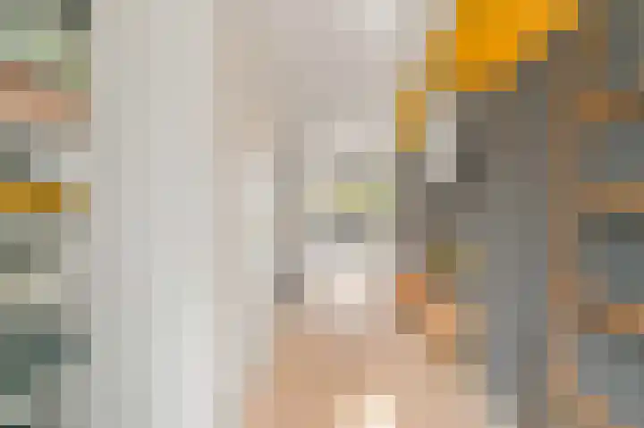 Vossenzoom 246 Pijnacker foto 3