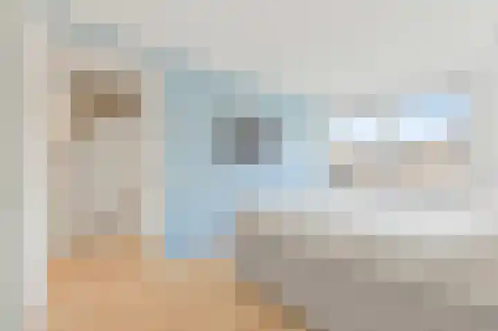 Vossenzoom 246 Pijnacker thumbnail 30