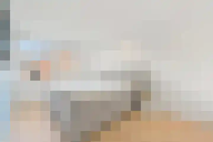 Vossenzoom 246 Pijnacker thumbnail 31