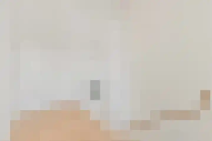 Vossenzoom 246 Pijnacker thumbnail 40