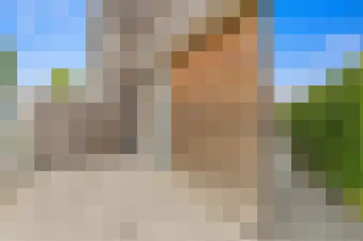 Vossenzoom 246 Pijnacker thumbnail 47