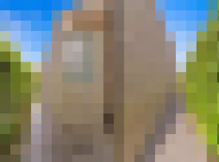 Vossenzoom 246 Pijnacker thumbnail 48