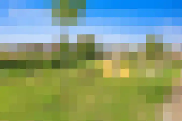 Vossenzoom 246 Pijnacker thumbnail 53