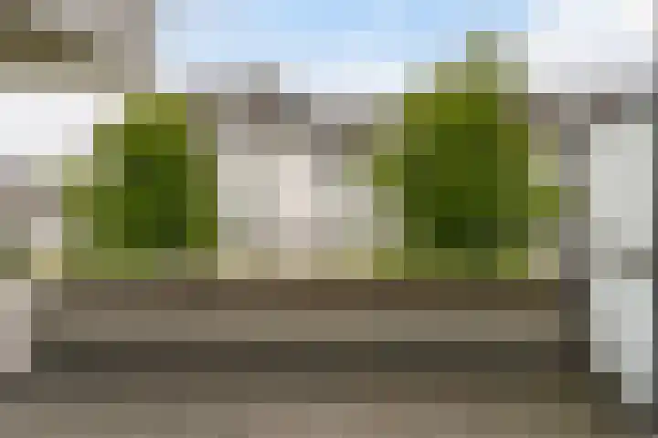 Vossenzoom 246 Pijnacker thumbnail 7