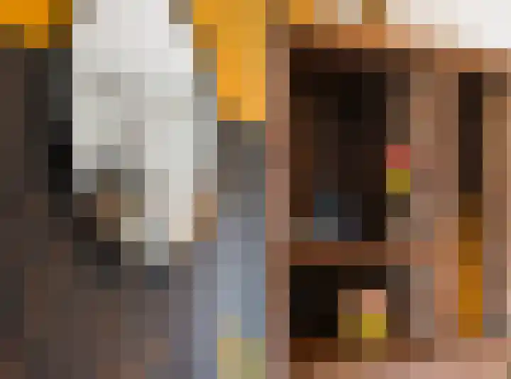 Vossenzoom 246 Pijnacker thumbnail 8