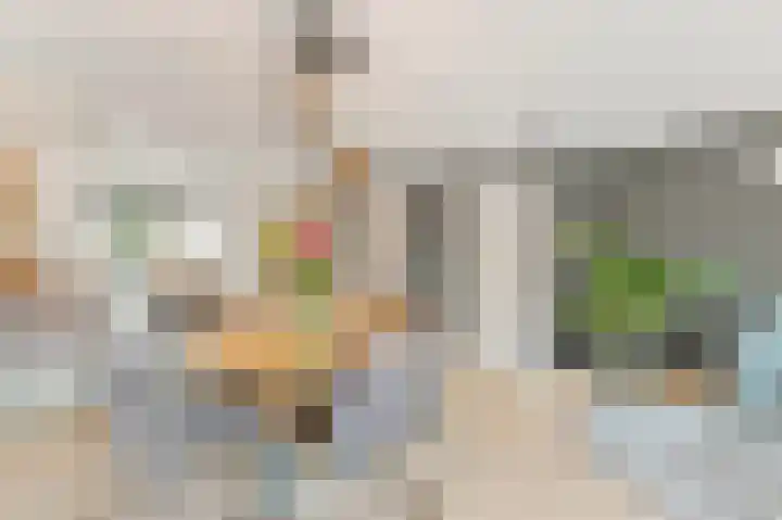 Vossenzoom 246 Pijnacker thumbnail 9