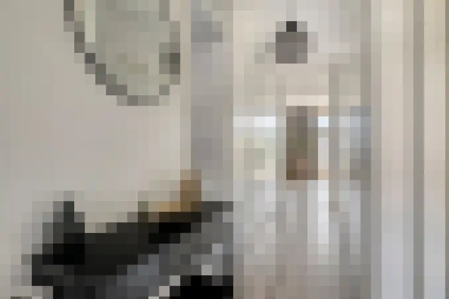 Vossenzoom 25 Pijnacker thumbnail 12