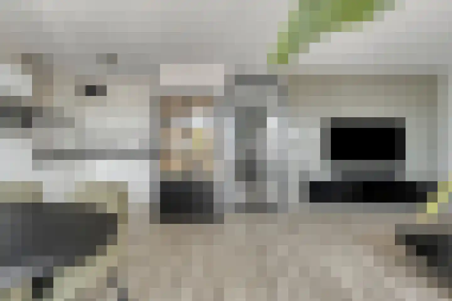 Vossenzoom 25 Pijnacker thumbnail 16