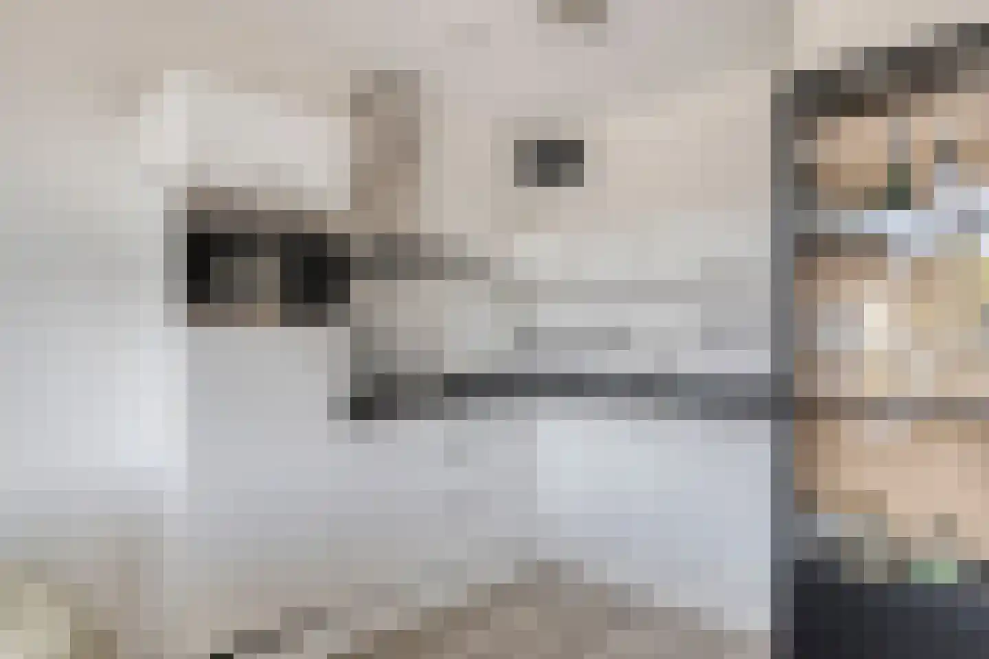 Vossenzoom 25 Pijnacker thumbnail 17