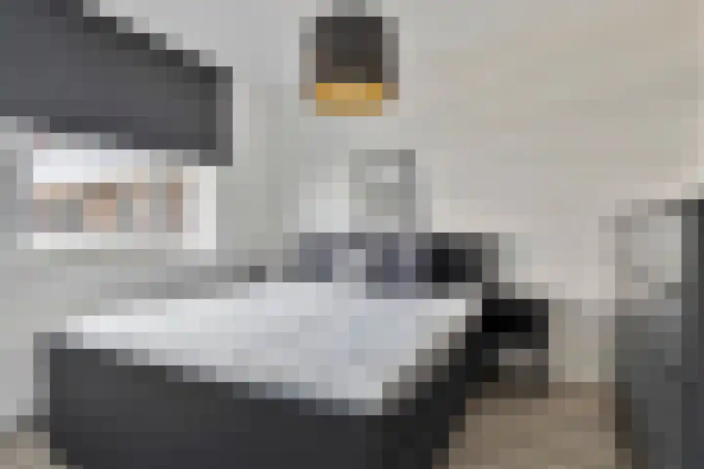 Vossenzoom 25 Pijnacker thumbnail 19
