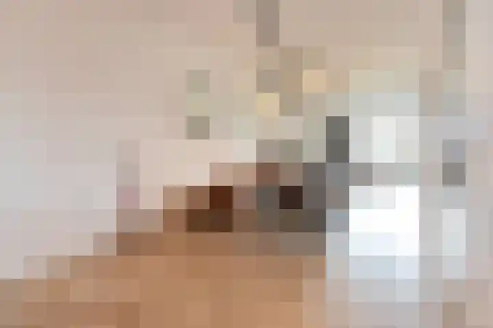 Vossenzoom 253 Pijnacker thumbnail 11