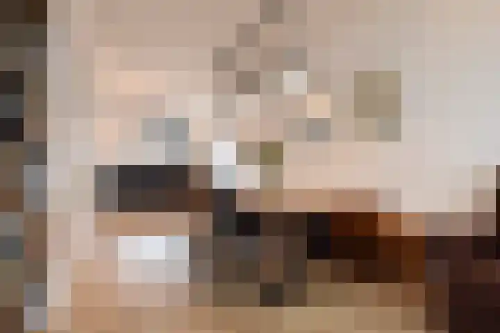 Vossenzoom 253 Pijnacker thumbnail 12