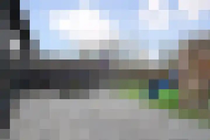 Vossenzoom 253 Pijnacker thumbnail 26