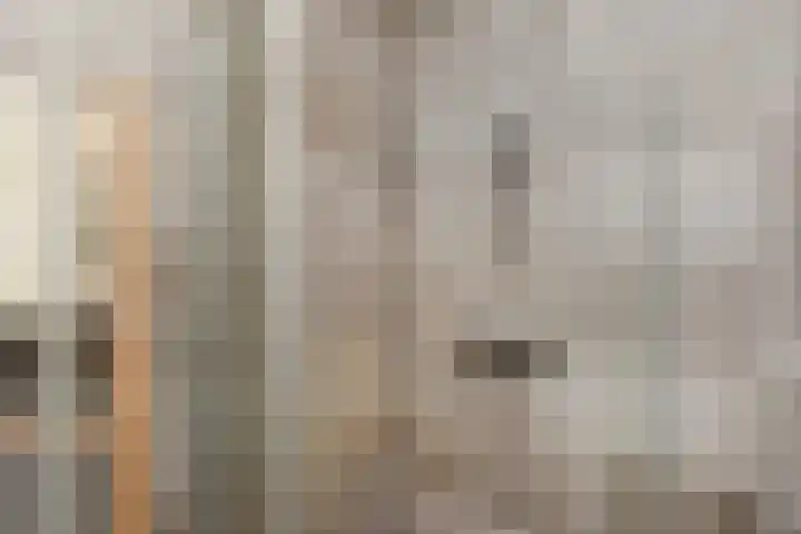 Vossenzoom 253 Pijnacker thumbnail 42