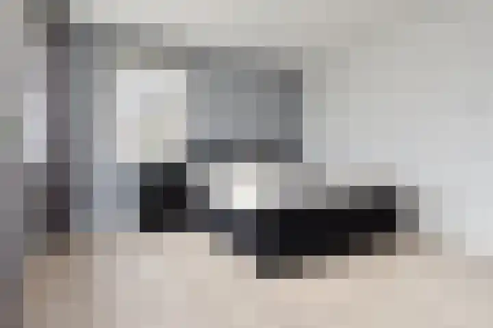 Vossenzoom 253 Pijnacker thumbnail 45