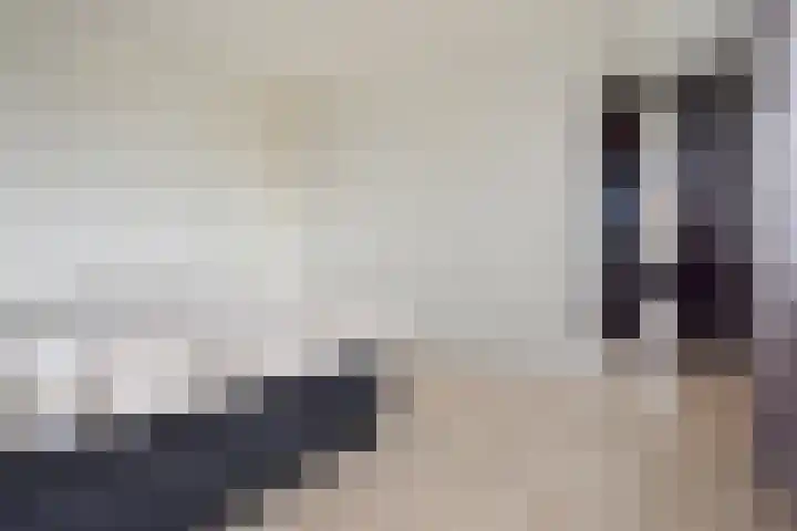 Vossenzoom 253 Pijnacker thumbnail 46