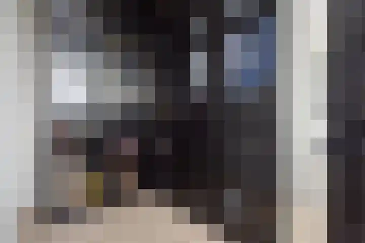 Vossenzoom 253 Pijnacker thumbnail 47