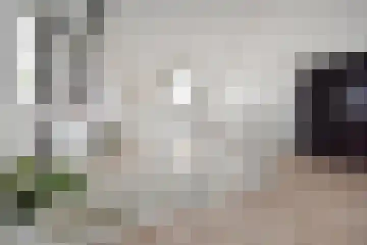 Vossenzoom 253 Pijnacker thumbnail 49