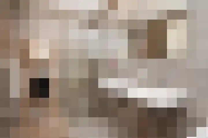 Vossenzoom 253 Pijnacker thumbnail 5