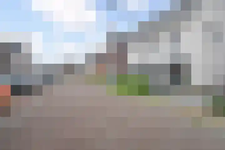 Vossenzoom 253 Pijnacker thumbnail 54