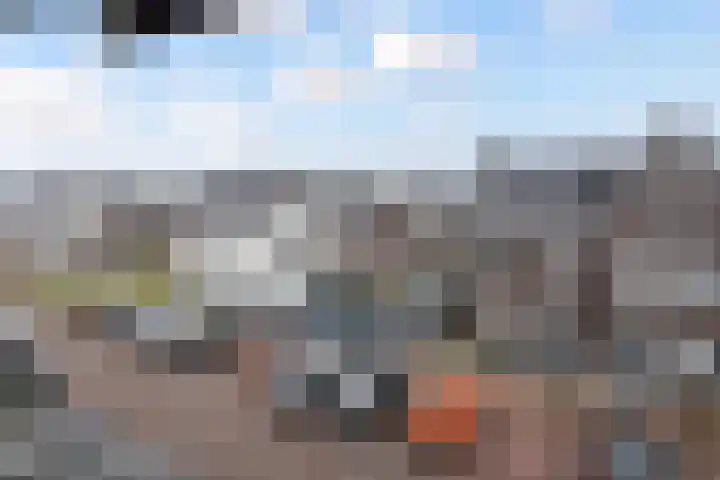 Vossenzoom 253 Pijnacker thumbnail 56