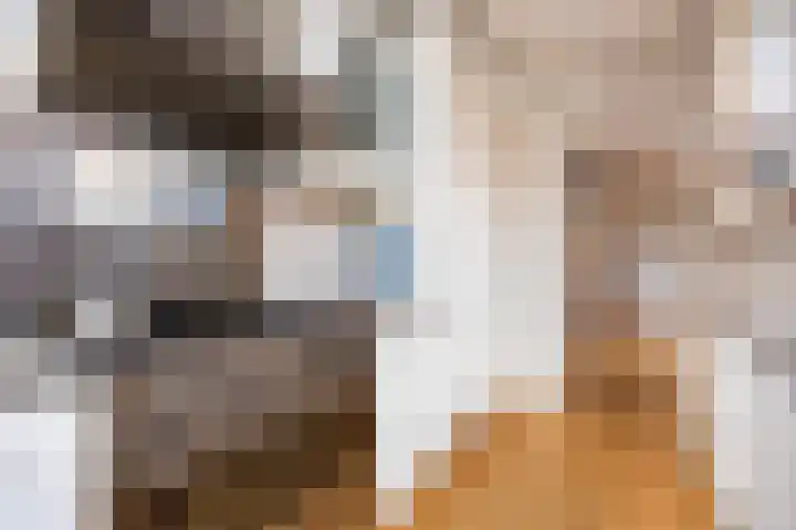 Vossenzoom 253 Pijnacker thumbnail 58