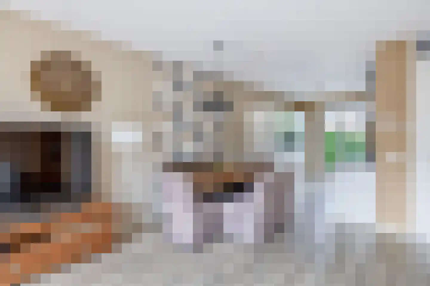 Vossenzoom 290 Pijnacker thumbnail 13