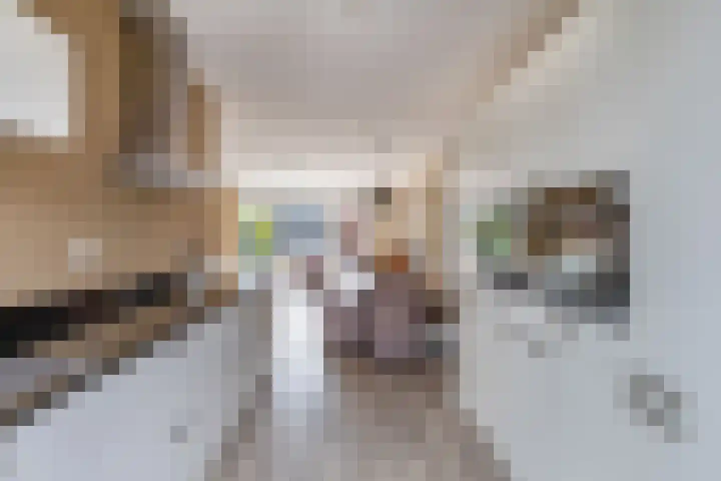 Vossenzoom 290 Pijnacker thumbnail 17