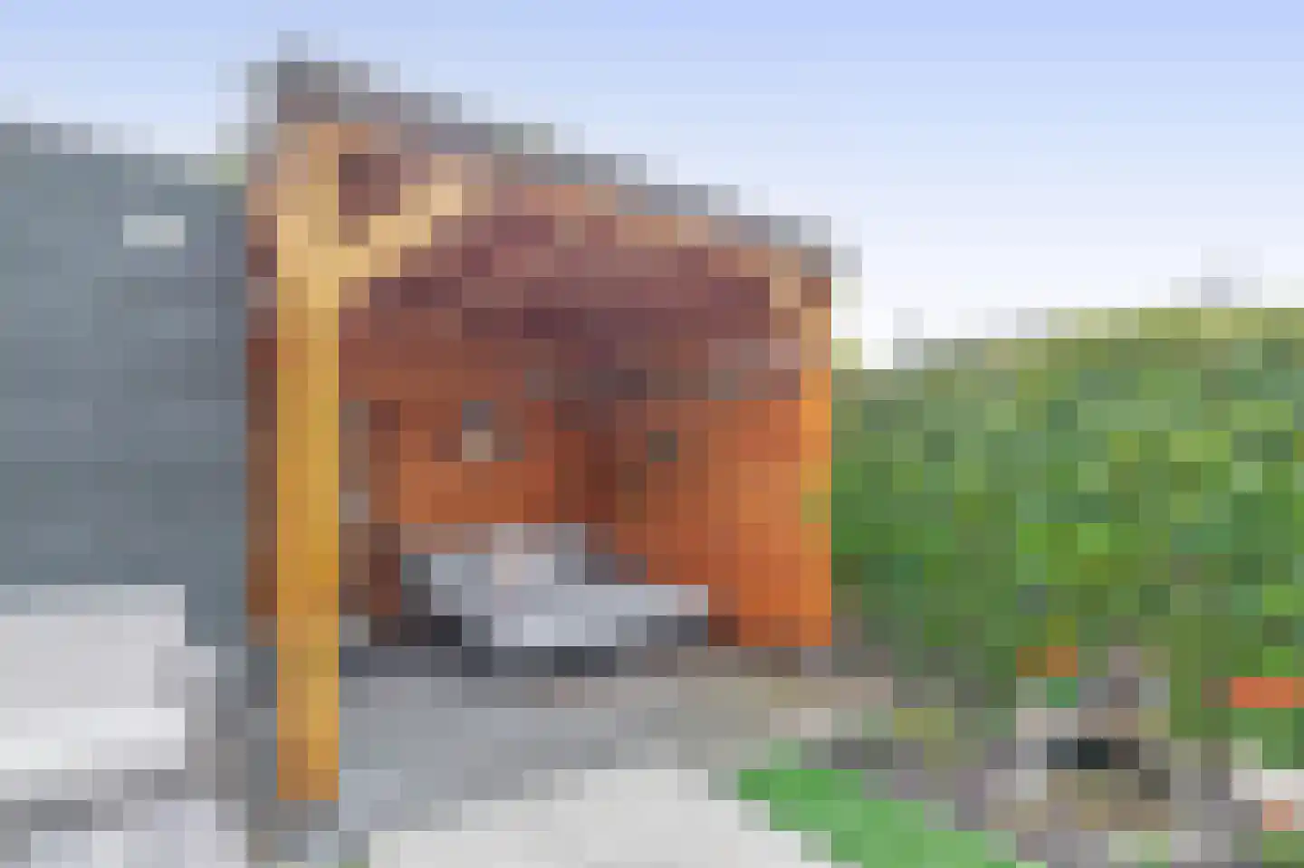 Vossenzoom 290 Pijnacker thumbnail 21