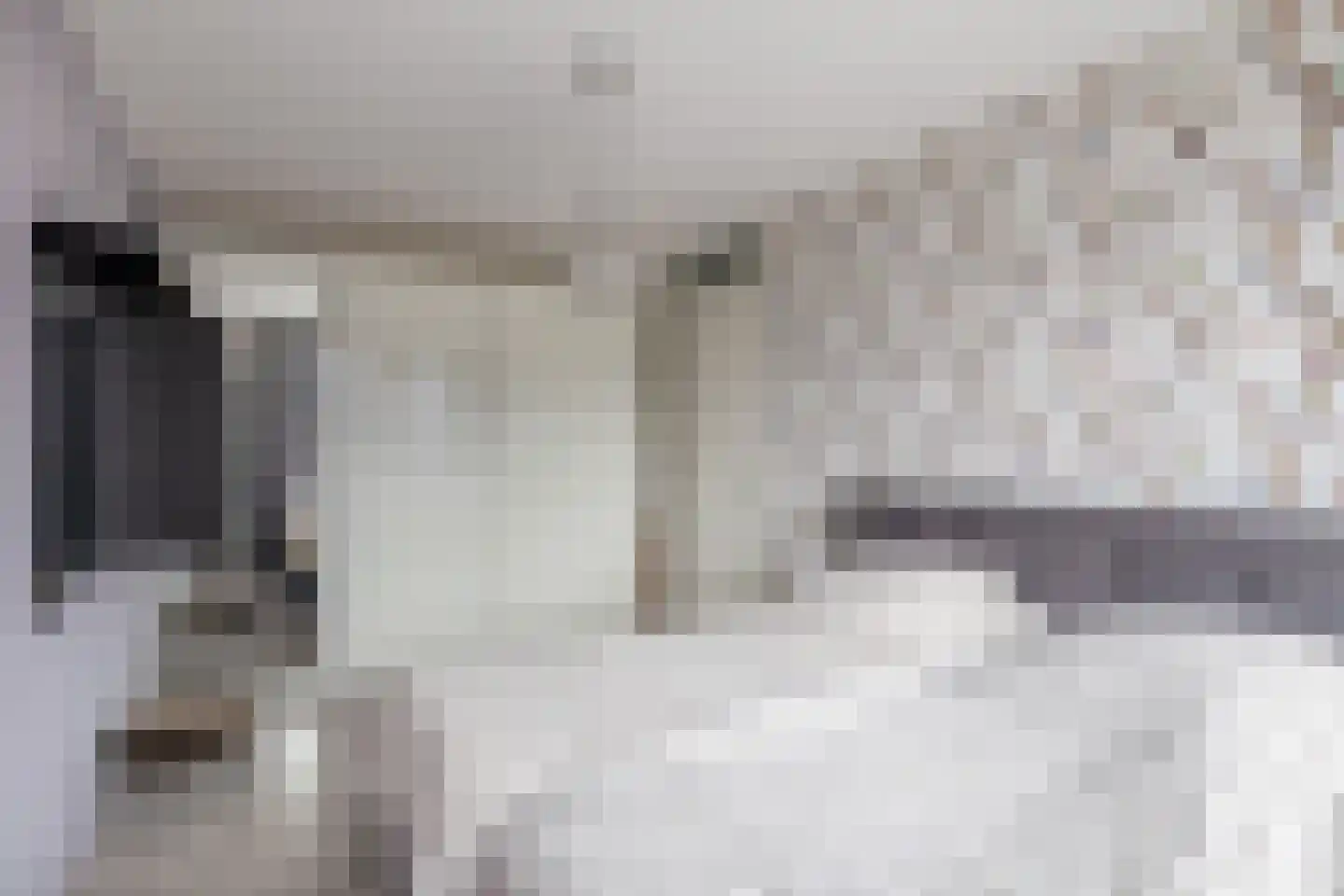 Vossenzoom 290 Pijnacker thumbnail 27