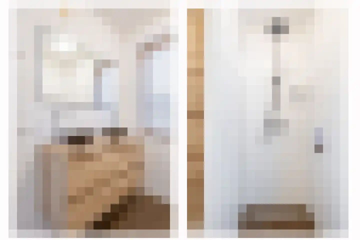 Vossenzoom 290 Pijnacker thumbnail 30