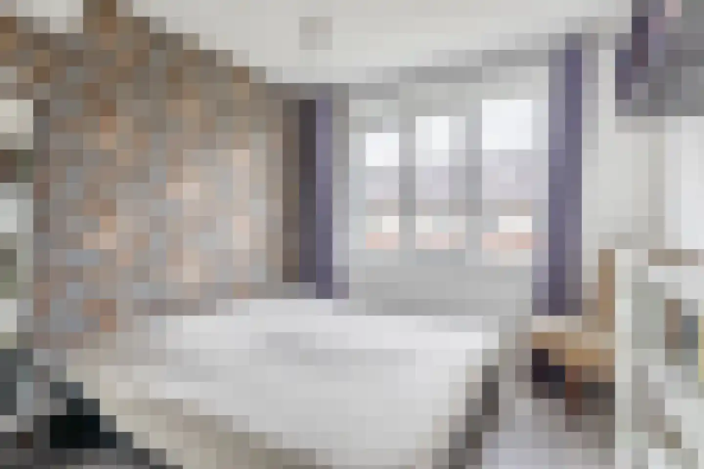 Vossenzoom 290 Pijnacker thumbnail 31