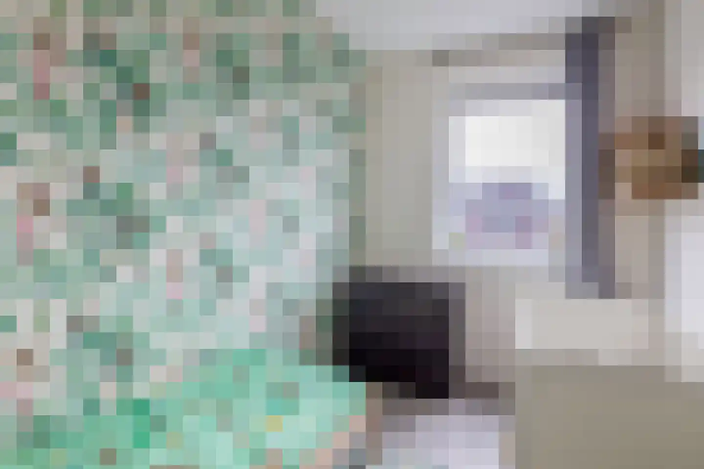 Vossenzoom 290 Pijnacker thumbnail 33