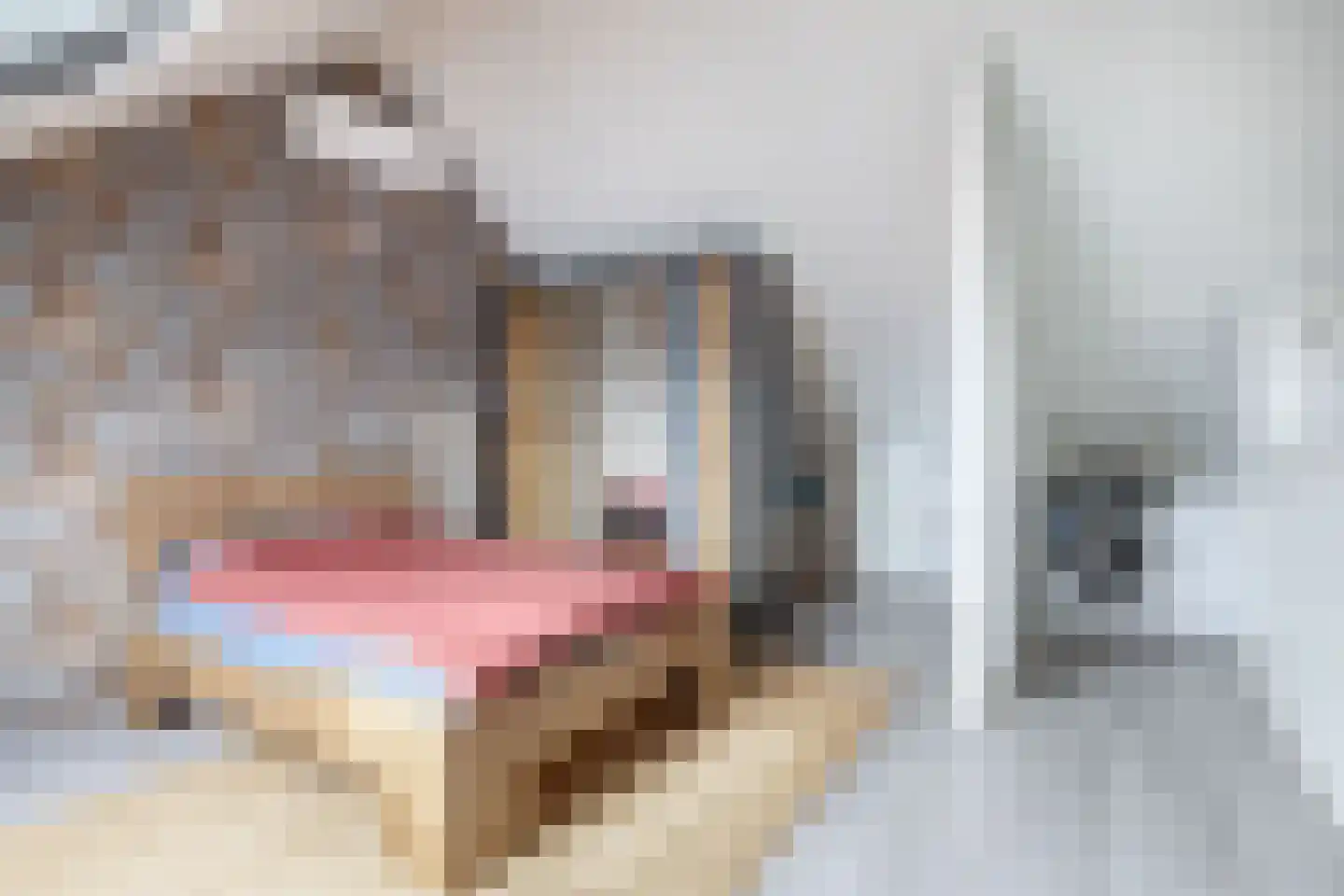 Vossenzoom 290 Pijnacker thumbnail 34