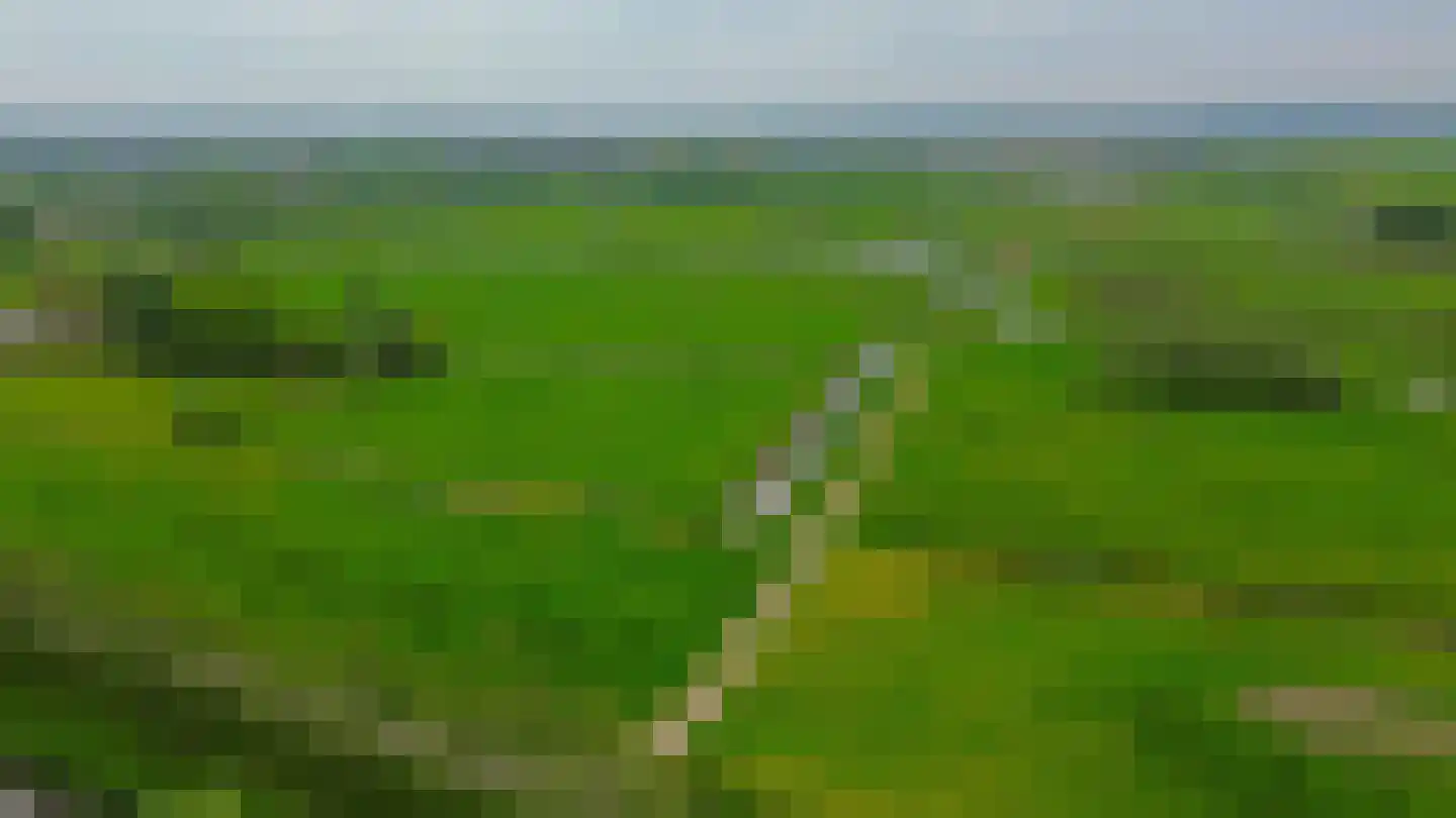 Vossenzoom 290 Pijnacker thumbnail 47