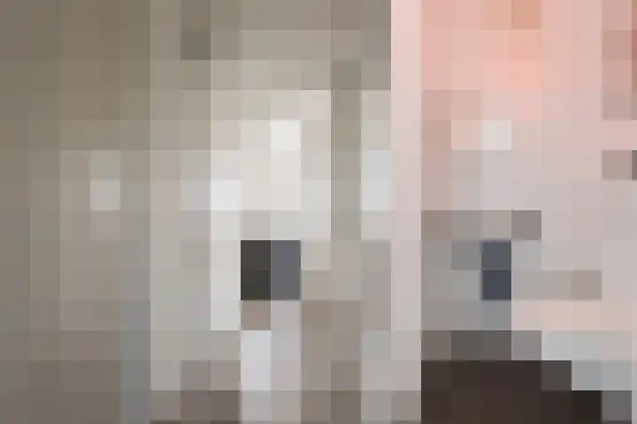 Vossenzoom 45 Pijnacker thumbnail 10