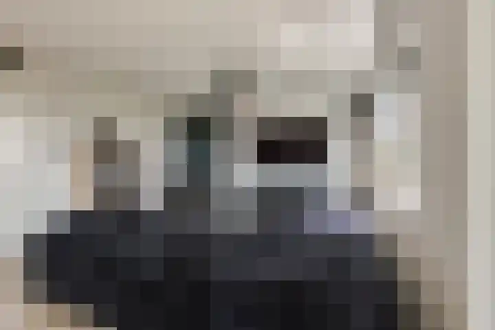 Vossenzoom 45 Pijnacker thumbnail 12