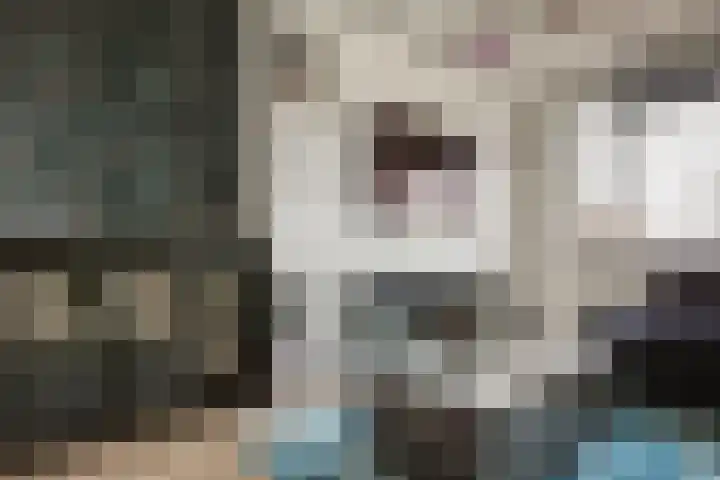 Vossenzoom 45 Pijnacker thumbnail 14