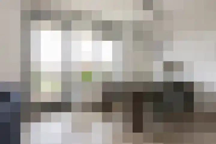 Vossenzoom 45 Pijnacker thumbnail 15
