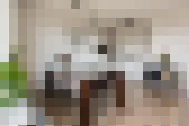 Vossenzoom 45 Pijnacker thumbnail 16