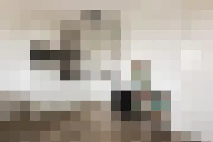 Vossenzoom 45 Pijnacker thumbnail 17