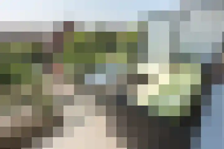 Vossenzoom 45 Pijnacker thumbnail 19
