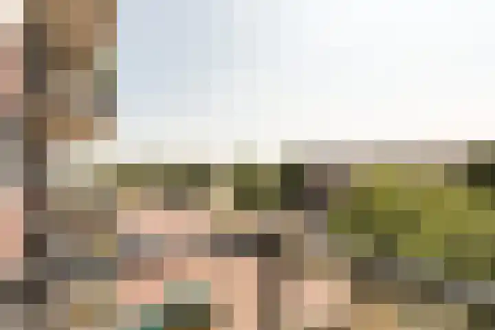 Vossenzoom 45 Pijnacker thumbnail 21