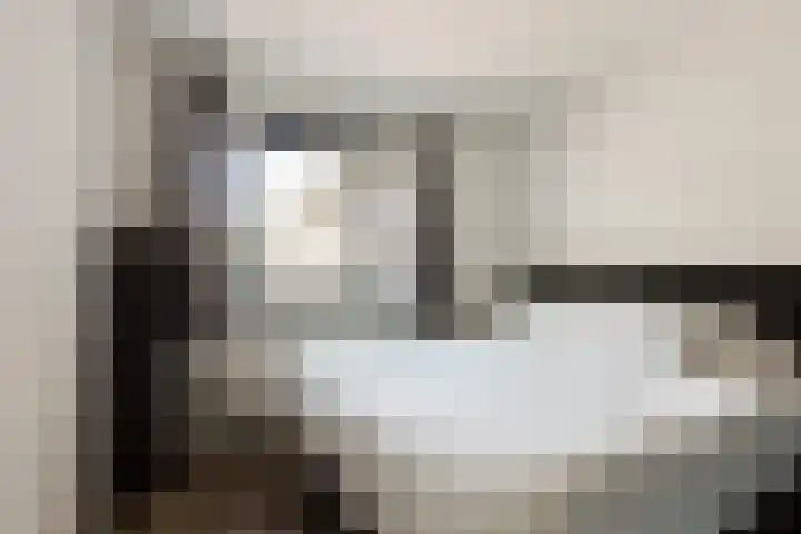 Vossenzoom 45 Pijnacker thumbnail 23